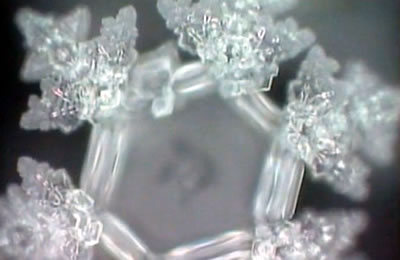 Masaru Emoto, l'eau porte les mémoires